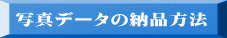 ʐ^f[^̔[i@ 